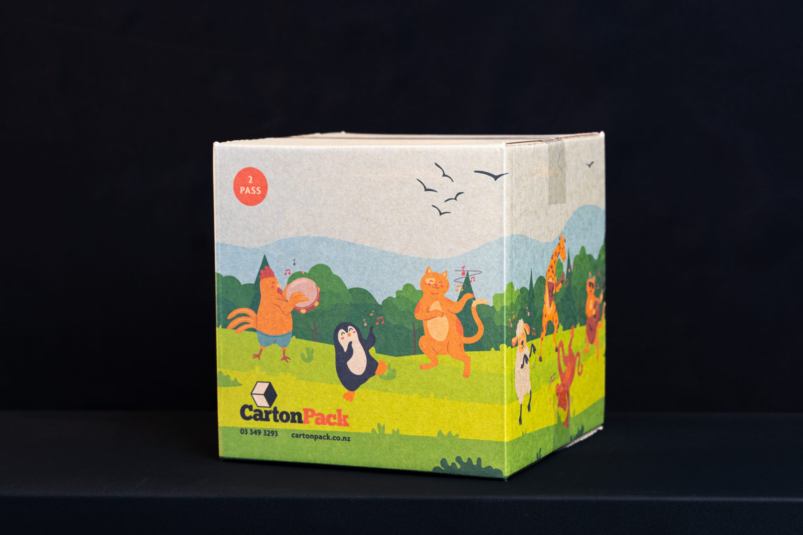 Custom Cardboard Packaging & Box Design NZ – CartonPack
