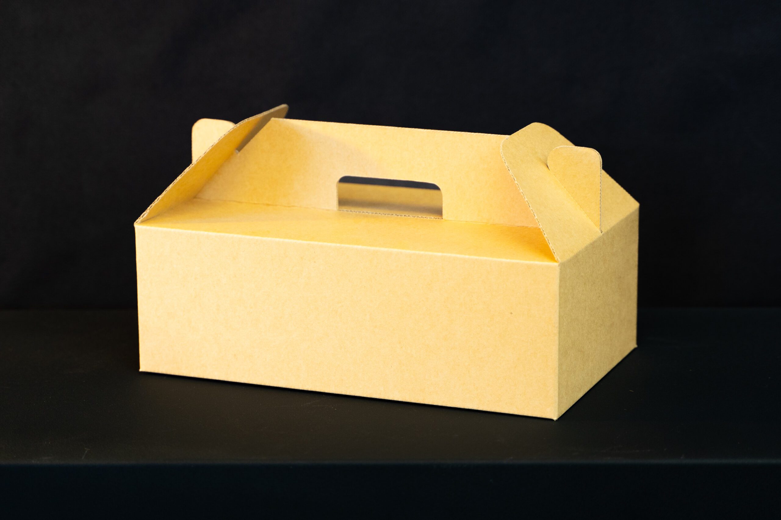 Kraft die cut carry box, with handle.