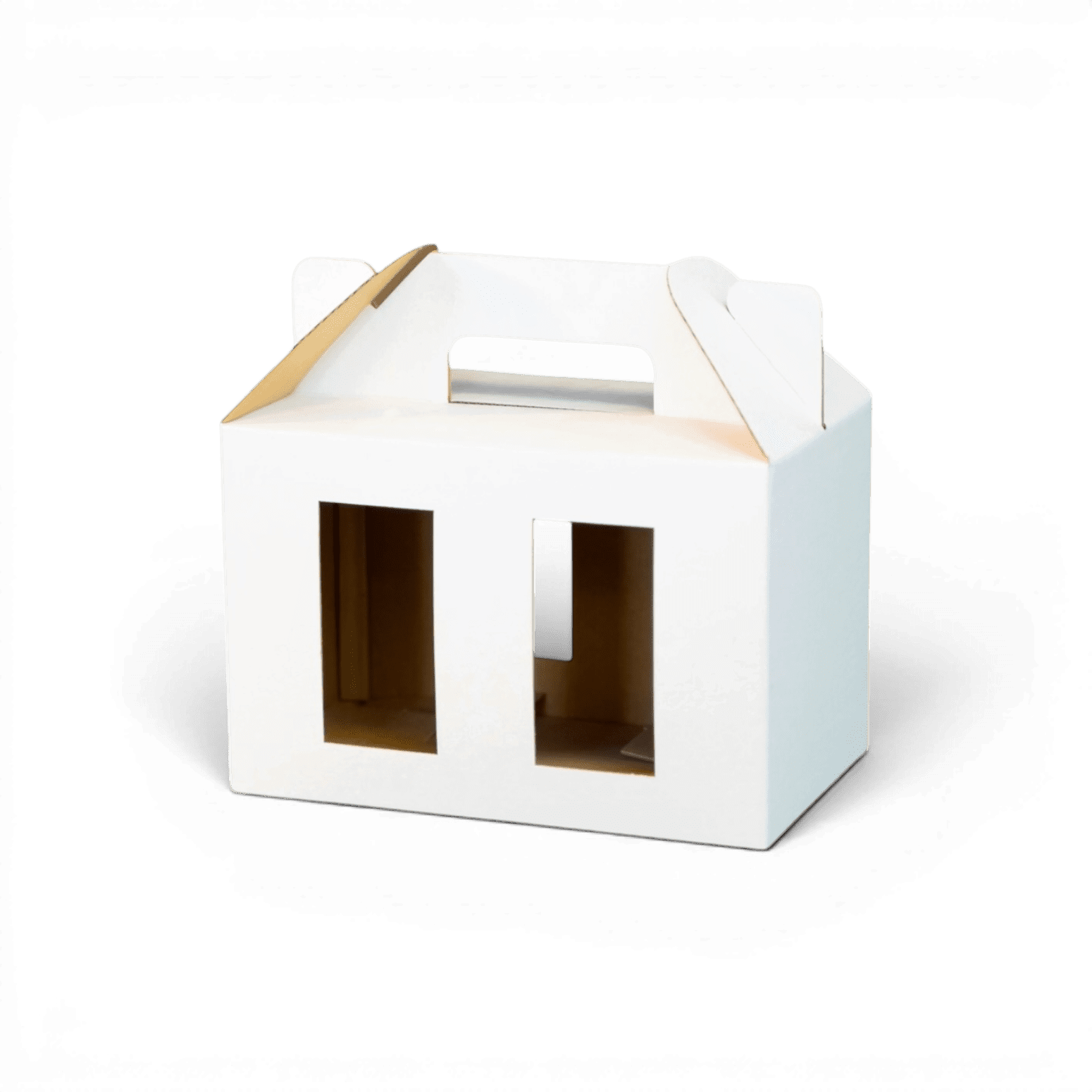 Carry Box with 2 Windows