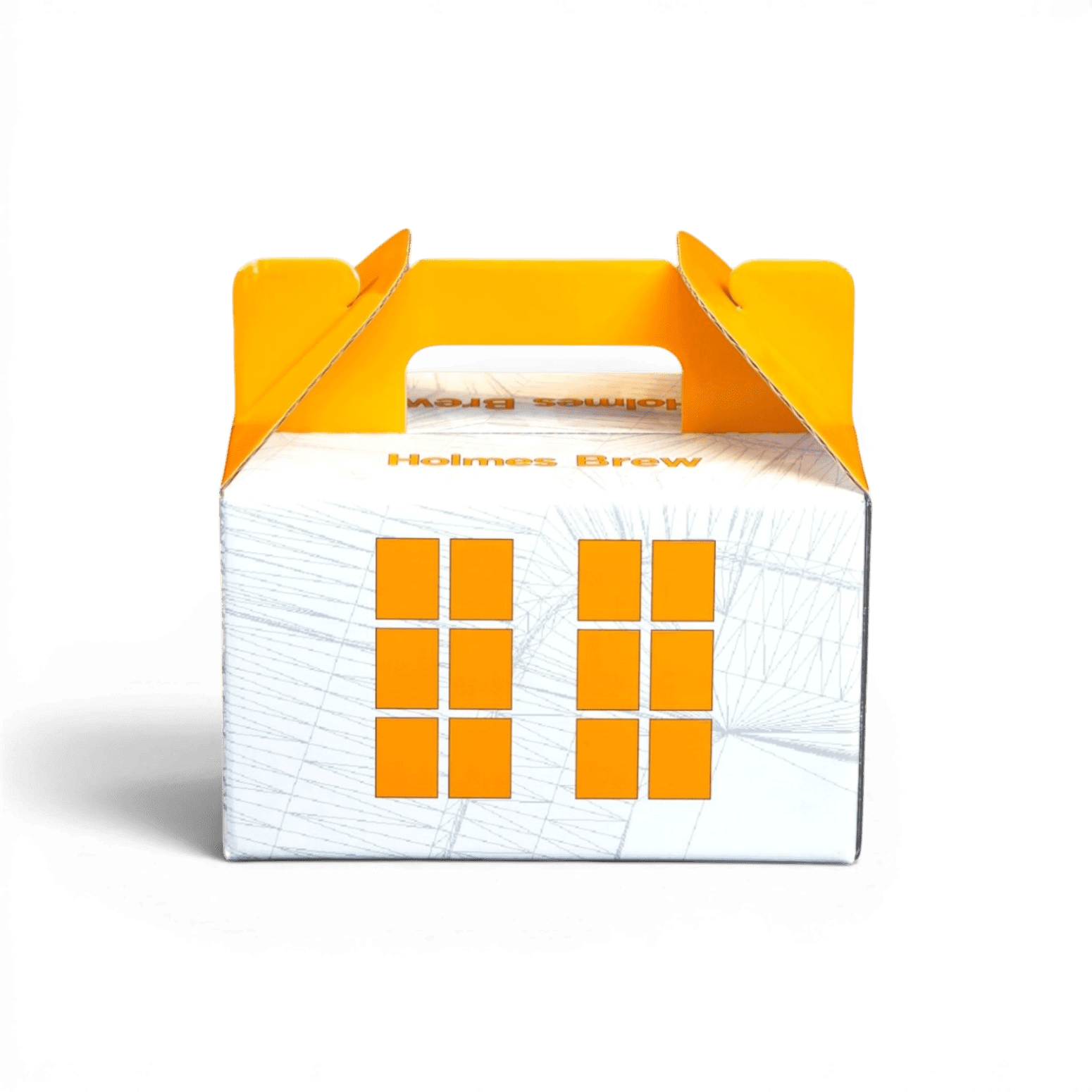 Litho Lamination Carry Box with Integrated Handle